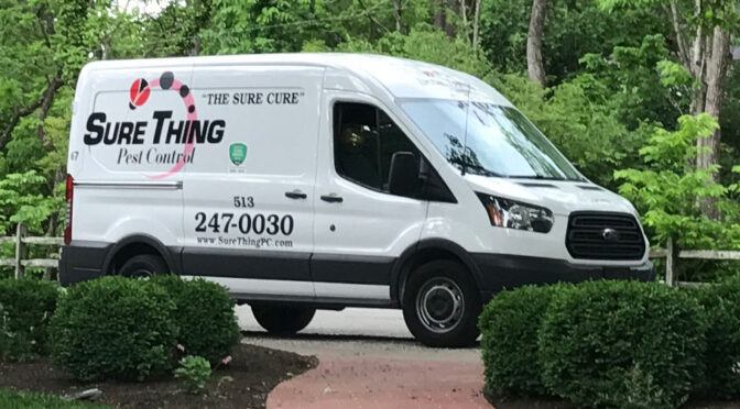 Professional Flea Exterminator: What It Costs in 2026